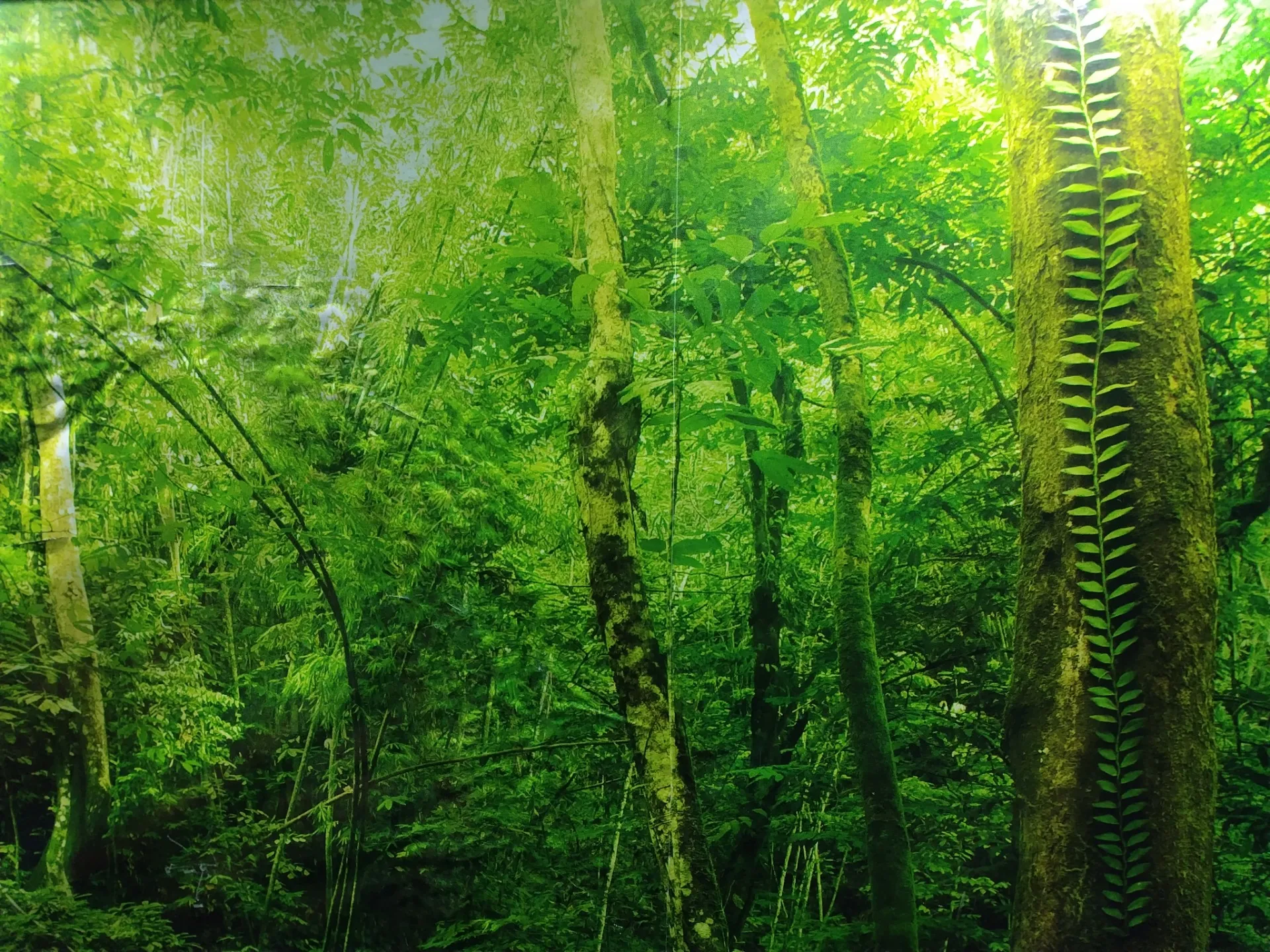 Reflex小笹店の多くのメニューやクーポン 最新情報!